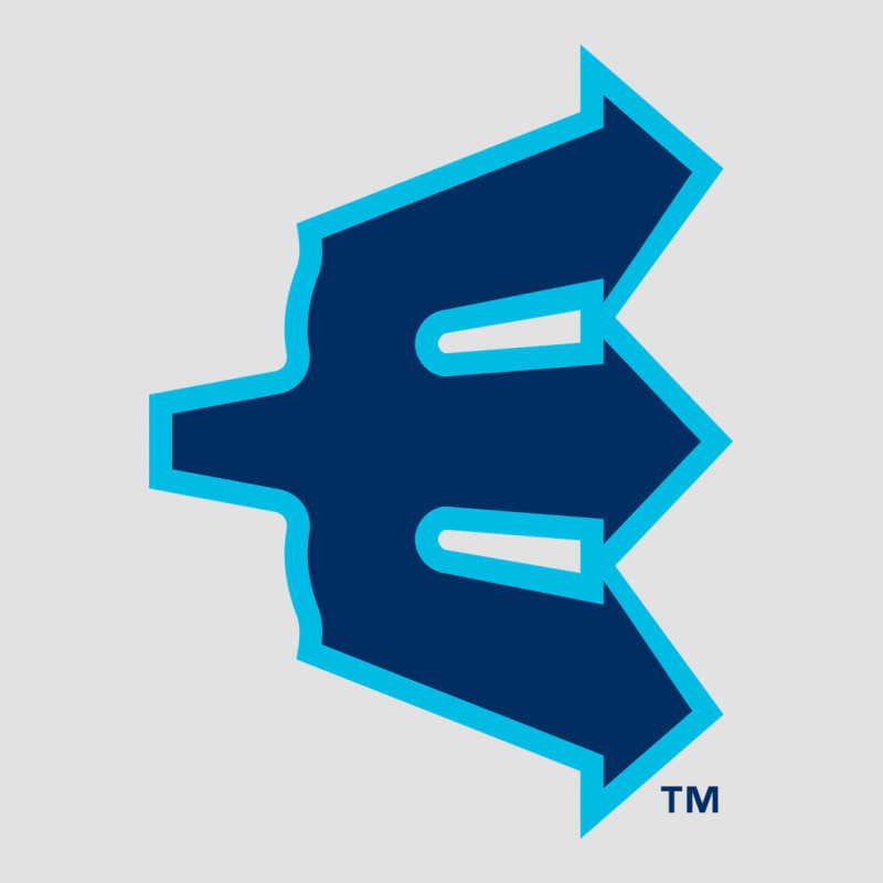 Everett Aquasox Premium Hoodie by linhVisuals | Teevron