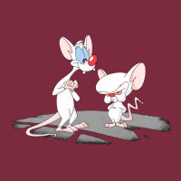 Newanimaniacs Pinky And The Brain Premium Hoodie | Teevron