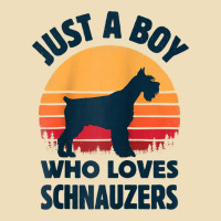 Schnauzer Just A Boy Who Loves Dogs Men Retro Vintage Sunset Raglan Ba Premium Hoodie | Teevron