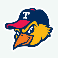 Toledo-mud-hens Premium Hoodie | Teevron
