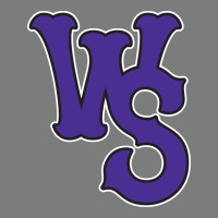 Winston-salem-dash Premium Hoodie | Teevron