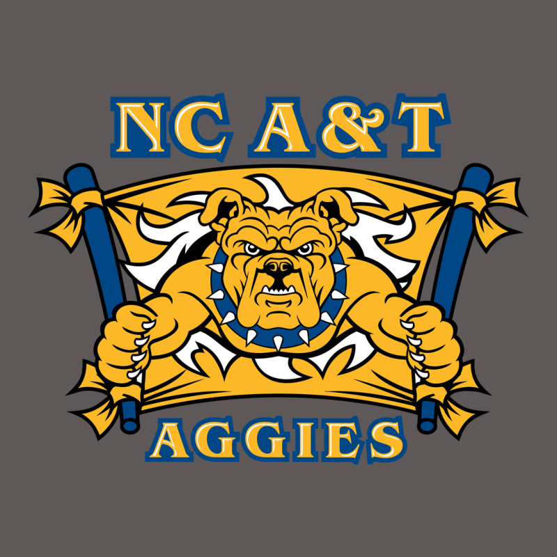 North Carolina A&t Aggies Premium Hoodie by linhVisuals | Teevron
