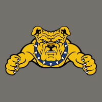 North Carolina A&t Aggies Premium Hoodie | Teevron