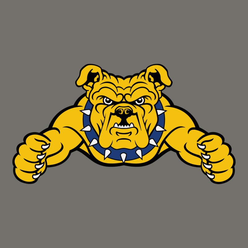 North Carolina A&t Aggies Premium Hoodie by linhVisuals | Teevron