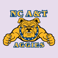 North Carolina A&t Aggies Premium Hoodie | Teevron