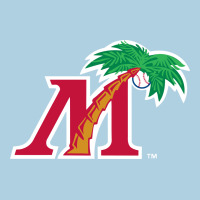 Fort Myers Miracle Premium Hoodie | Teevron