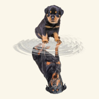 Rottweiler Reflection T Shirt Funny Father's Day Dog Gifts Premium Hoodie | Teevron