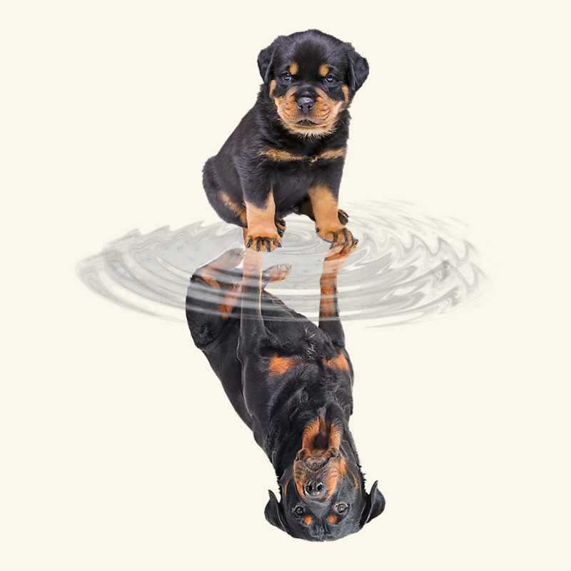 Rottweiler Reflection T Shirt Funny Father's Day Dog Gifts Premium Hoodie by linhVisuals | Teevron