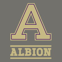 Albion College Athleticpurple Premium Hoodie | Teevron