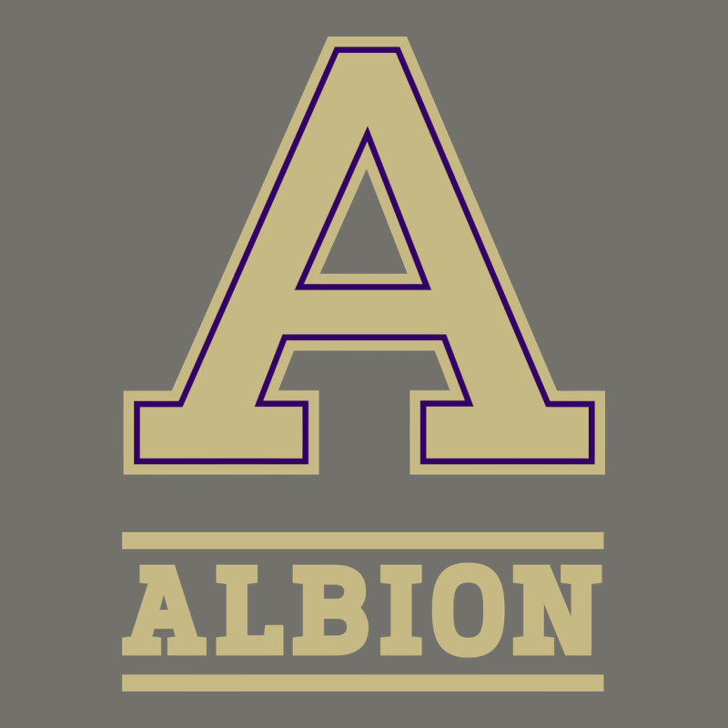 Albion College Athleticpurple Premium Hoodie by linhVisuals | Teevron