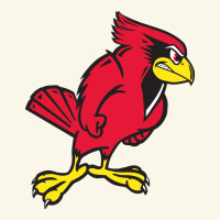 Illinois State Redbirds Premium Hoodie | Teevron