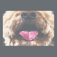 Labradoodle T  Shirtfunny Labradoodle Face Mask Funny Dog Mouth T  Shi Premium Hoodie | Teevron