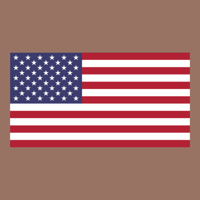 American Flag Premium Hoodie by linhVisuals | Teevron