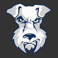 st. francis brooklyn terriers | Teevron