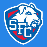 St. Francis Brooklyn Terriers Premium Hoodie | Teevron