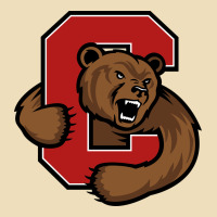 Cornell Premium Hoodie | Teevron