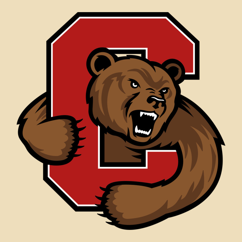 Cornell Premium Hoodie by linhVisuals | Teevron