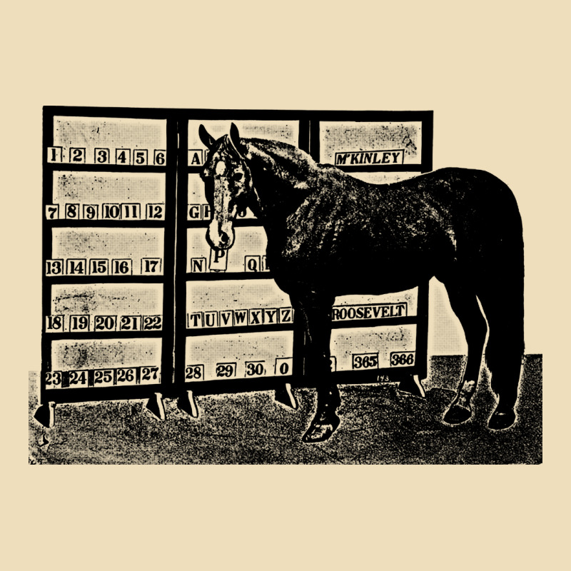 Beautiful Jim Key  Performing Horse Premium Hoodie by linhVisuals | Teevron