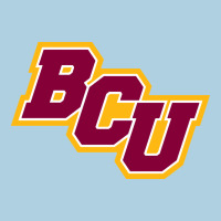 Bethune Cookman Premium Hoodie | Teevron