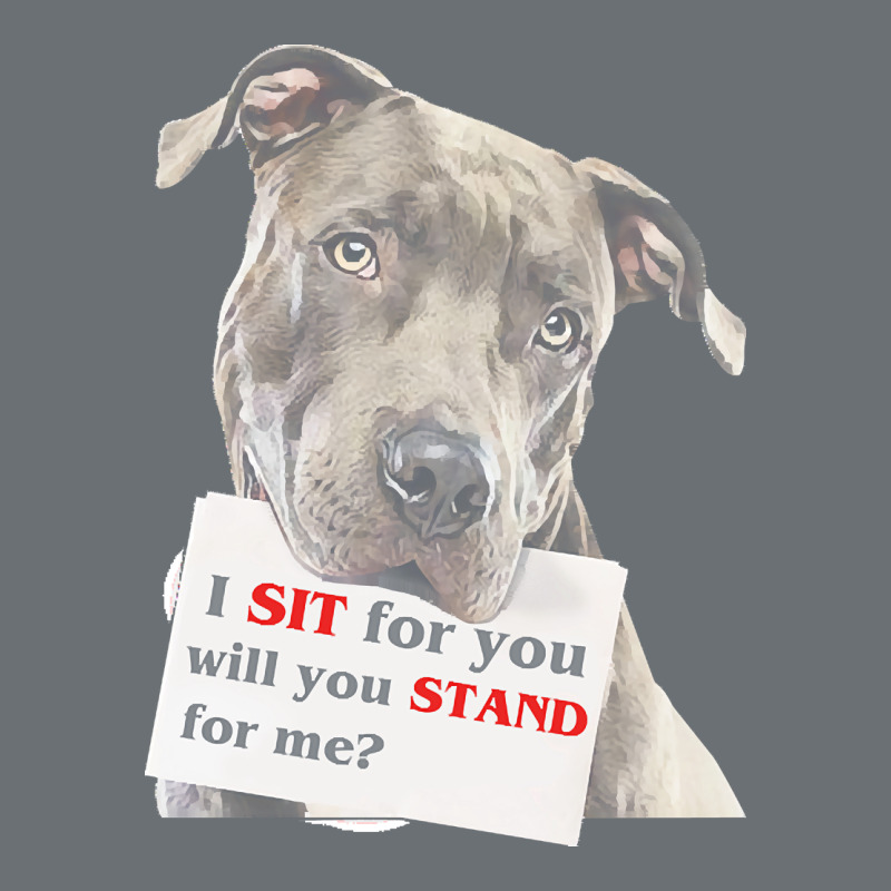 Pitbull T  Shirt I Sit For You Will You Stand For Me T  Shirt Premium Hoodie by linhVisuals | Teevron