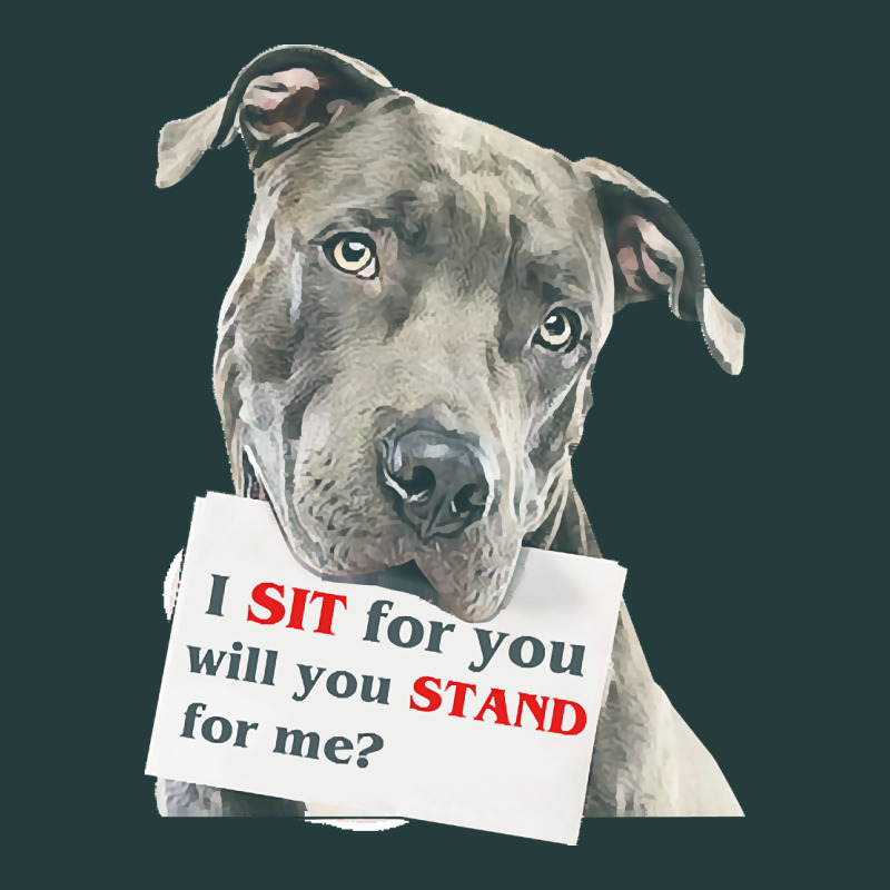 Pitbull T  Shirt I Sit For You Will You Stand For Me T  Shirt Premium Hoodie by linhVisuals | Teevron