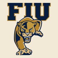 Fiu Panthers Premium Hoodie | Teevron