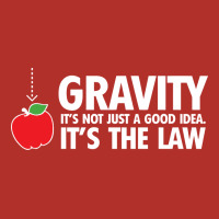 Gravity, It's Not Just A Good Idea Premium Hoodie | Teevron