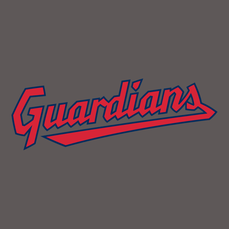 Guardians Premium Hoodie by linhVisuals | Teevron