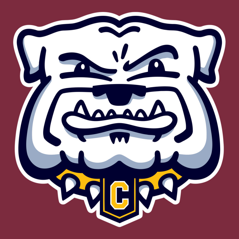 Chelse Bulldogs Premium Hoodie by linhVisuals | Teevron