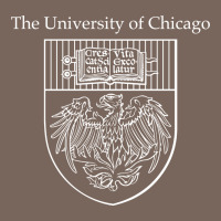 Chicago Premium Hoodie | Teevron