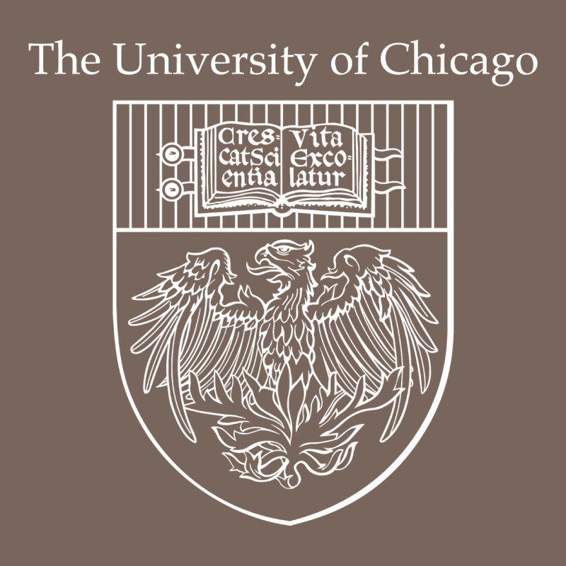 Chicago Premium Hoodie by linhVisuals | Teevron