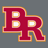 Brother Rice High School 3 Premium Hoodie | Teevron