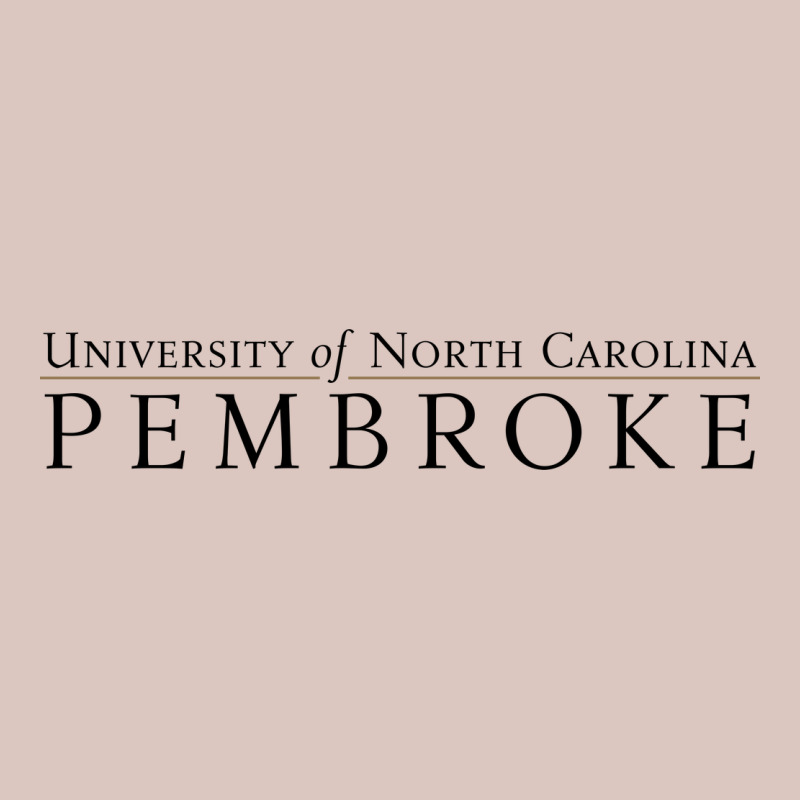 University Of North Carolin Pembroke Premium Hoodie by linhVisuals | Teevron
