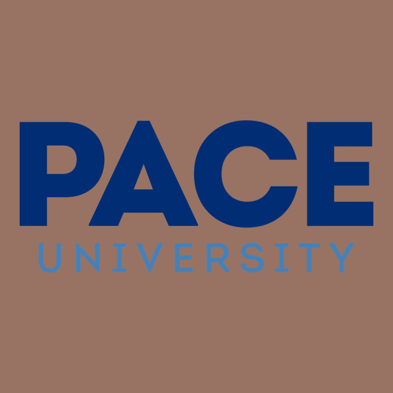 Pace University Premium Hoodie by linhVisuals | Teevron