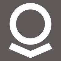 Palantir Premium Hoodie | Teevron