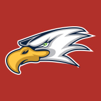 Eagle High School Premium Hoodie | Teevron