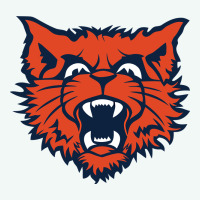 Evanston Township High School Premium Hoodie | Teevron