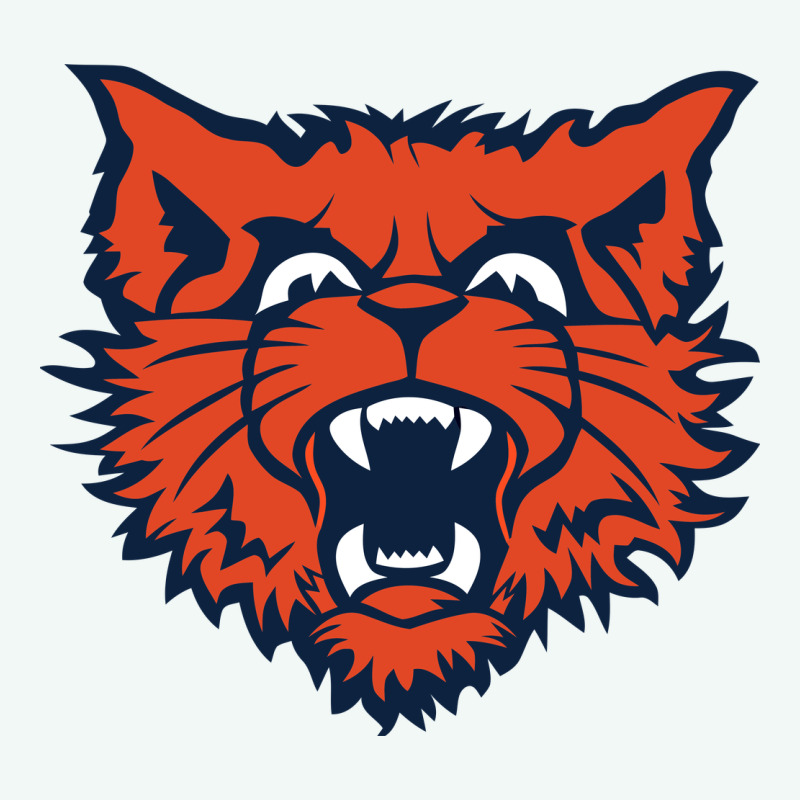 Evanston Township High School Premium Hoodie by linhVisuals | Teevron
