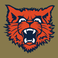 Evanston Township High School Premium Hoodie | Teevron