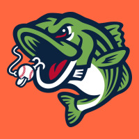 Gwinnett Stripers Premium Hoodie | Teevron