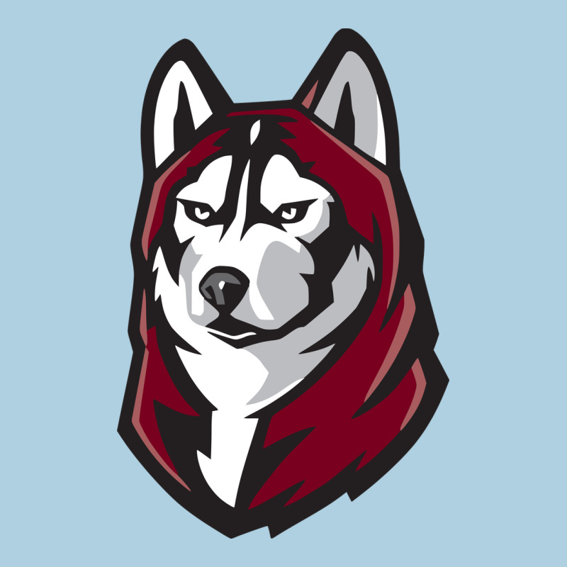 Bloomsburg Huskies Premium Hoodie by linhVisuals | Teevron