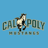 Cal Poly Premium Hoodie | Teevron