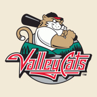 This-tri-city-valleycats-merch Premium Hoodie | Teevron