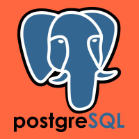 Postgresql Premium Hoodie | Teevron