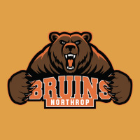 Northrop High School Premium Hoodie | Teevron