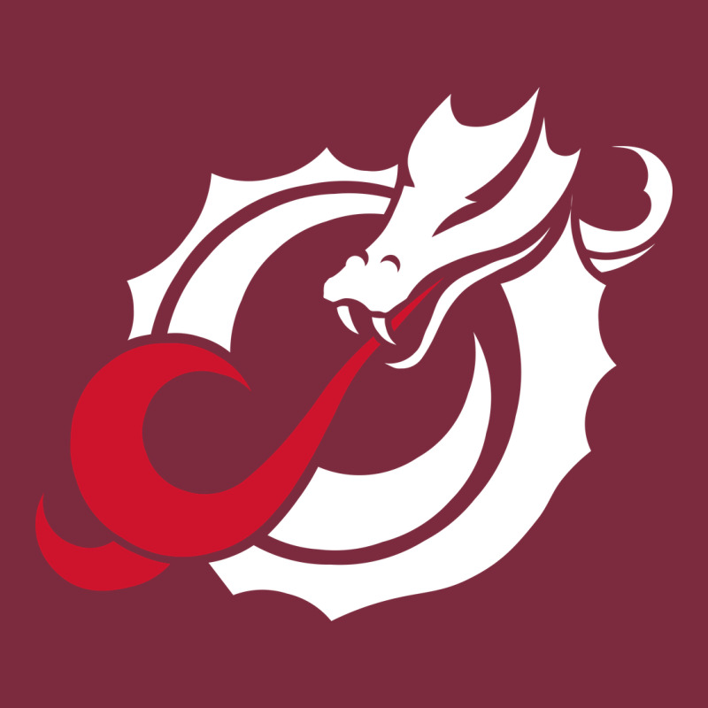 Msum Dragons, Gear Premium Hoodie by linhVisuals | Teevron