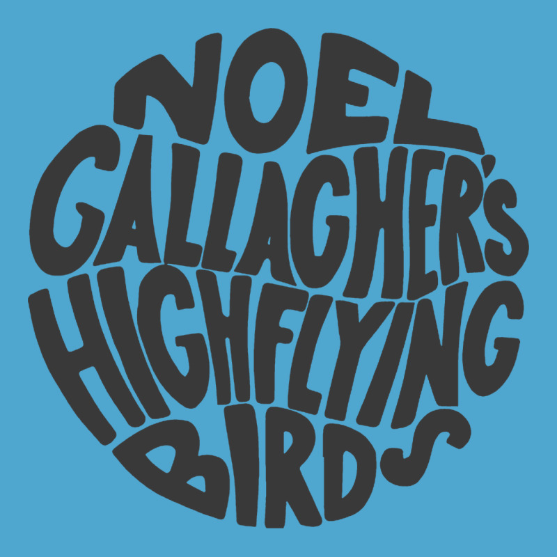 Noel Gallagher's High Flying Birds Classic Premium Hoodie by linhVisuals | Teevron