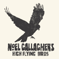 Noel Gallagher's High Flying Birds Classic Premium Hoodie | Teevron