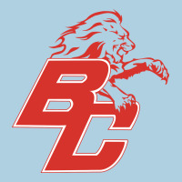 Boyd County High School Baseball Premium Hoodie | Teevron