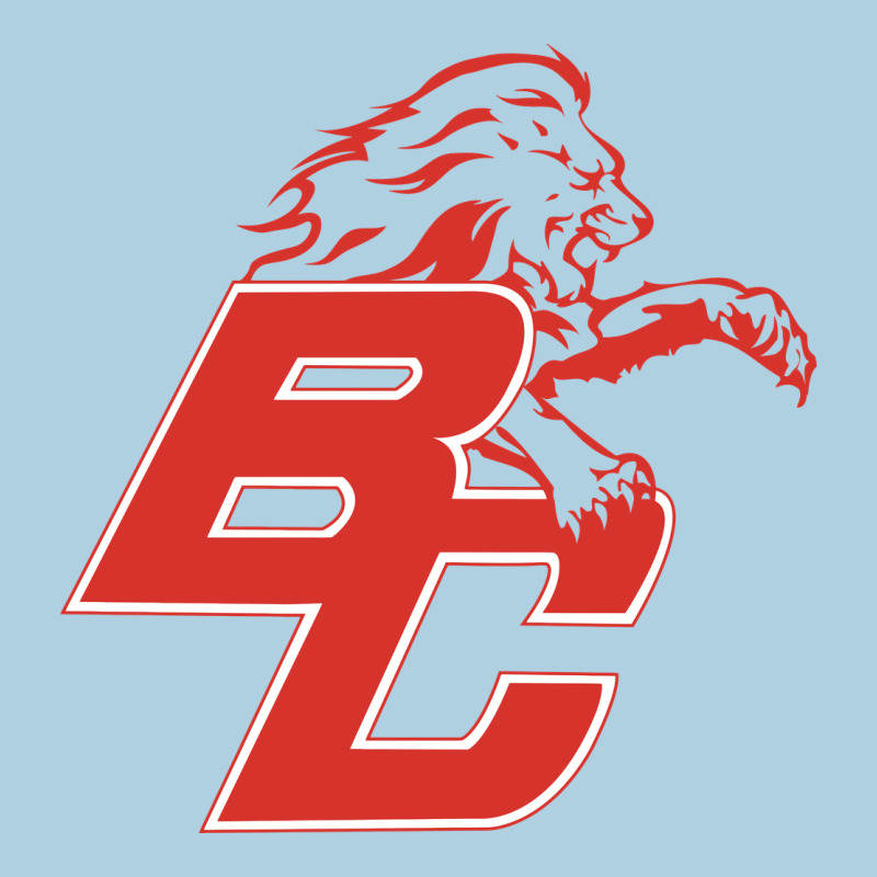 Boyd County High School Baseball Premium Hoodie by linhVisuals | Teevron